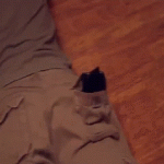 gC6tCLs.gif