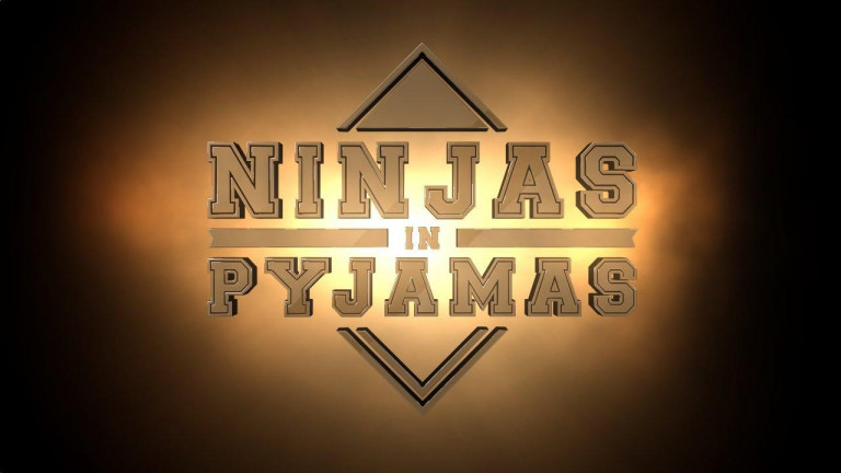 NiP išče novega člana!