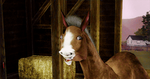 funny-game-horse-smile