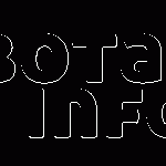 sobotainfo-logo-ppg