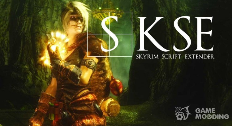 Razvijalci moda Skyrim Together obtoženi nedovoljene uporabe SKSE kode