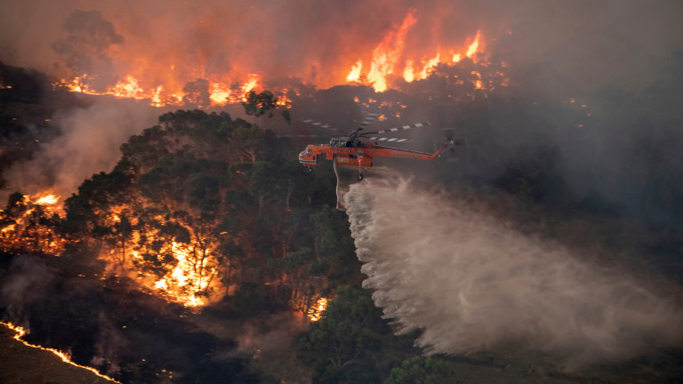 Streamerji in igričarske skupnosti se zavzemajo za pomoč v požarih v Avstraliji