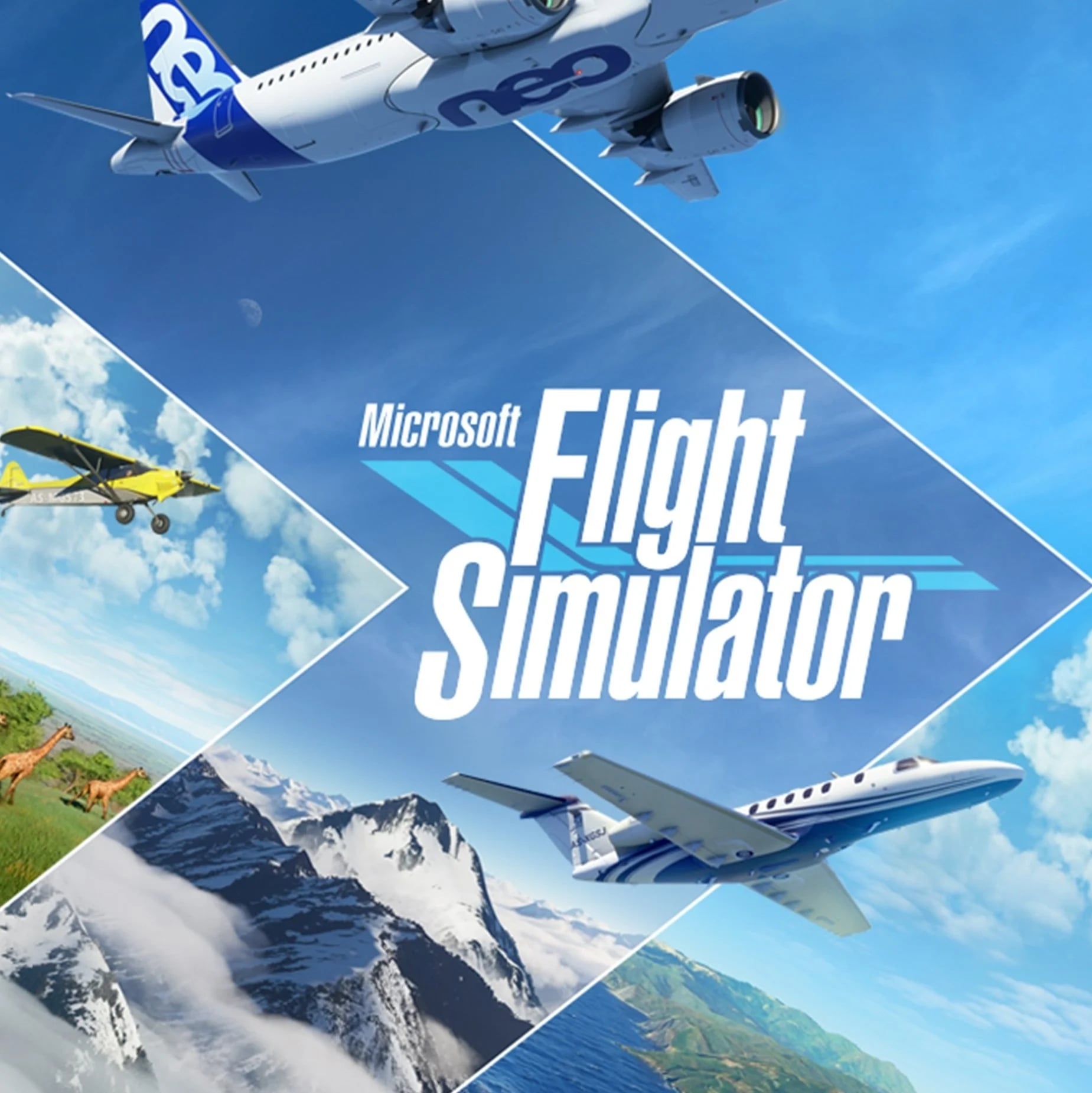 Microsoft Flight Simulator