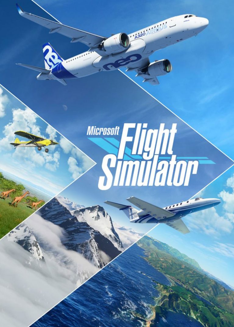 Microsoft Flight Simulator (Xbox Series X/S)