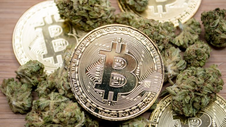 Policijska racija namesto gojilnice konoplje naletela na nelegalno rudarjenje Bitcoinov