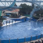 seaworld