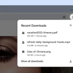 google chrome
