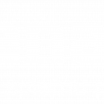 Logotip_eDenar_barvniW-WHITE