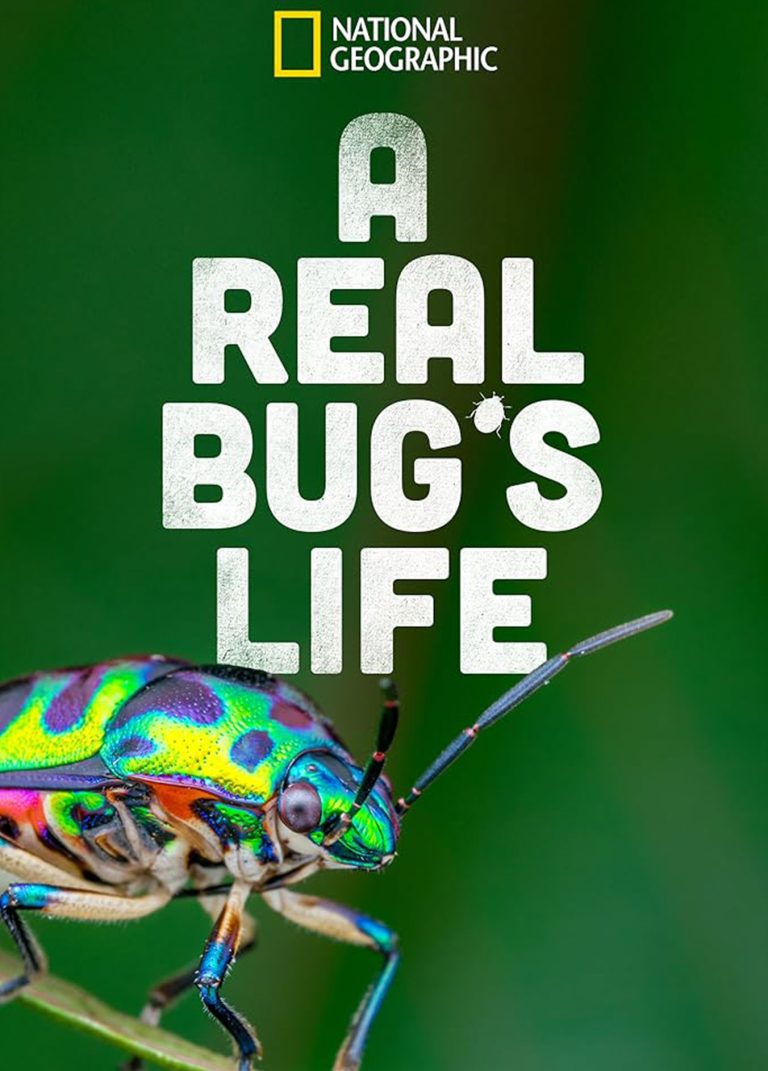 A Real Bug’s Life – 1. sezona (Disney+)