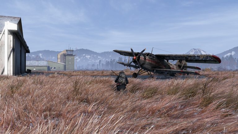 DayZ