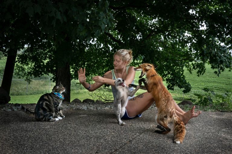 YouTuberka, znana po zavetišču za lisice, tragično preminula